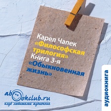 Обыкновенная жизнь. Философская трилогия. Книга 3