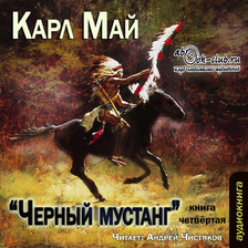 Черный мустанг. Виннету. Книга 4