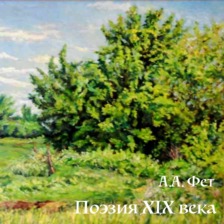 Афанасий Фет. Поэзия XIX век.